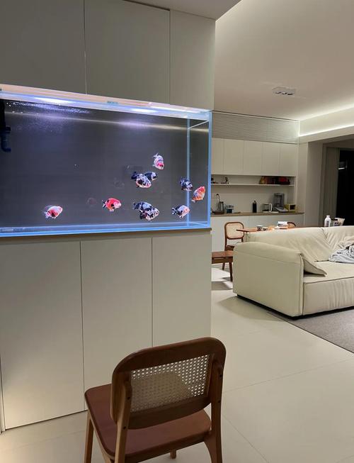 鱼缸摆放位置如何才能确保家居风水好？