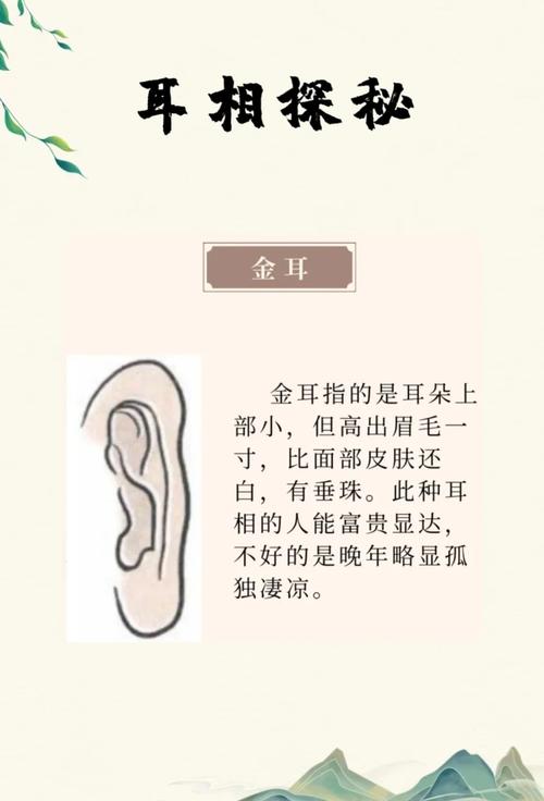耳命面和耳垂薄分别代表什么含义？