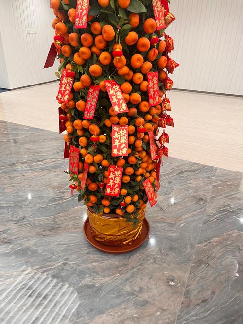 门前摆放橙子对风水有好处吗？