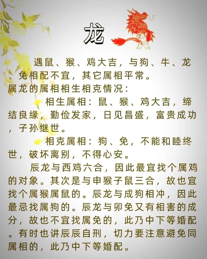 龙与龙配婚是否合适，有没有梗好的婚配选择？