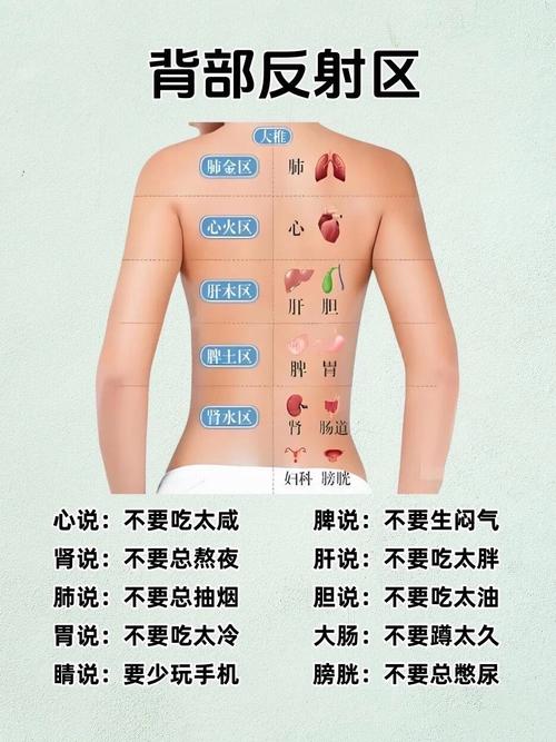 后背酸痛是否与家居风水布局有直接关联？