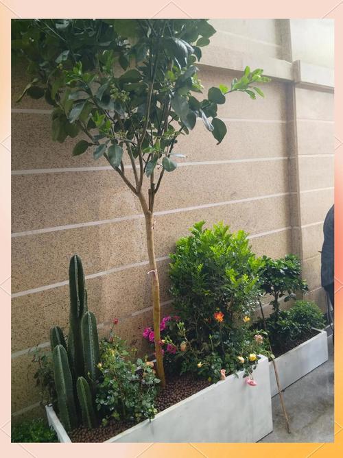 院子摆放花盆对风水有影响吗？