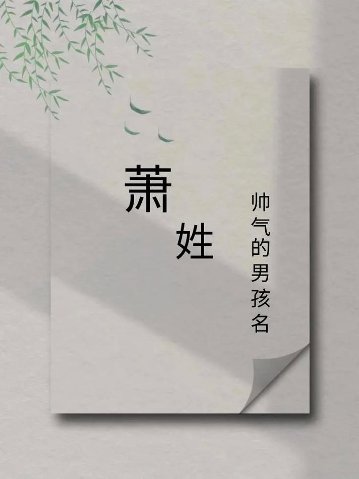 萧姓有涵养气质的男孩，取个什么名字既文雅又大气呢？