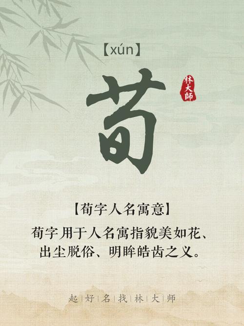 如何为荀姓男孩取一个既独特又优美的名字呢？