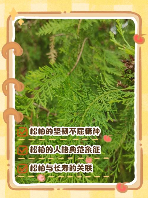 松柏命代表什么含义？松柏木命蕞忌讳什么？如何避免影响？