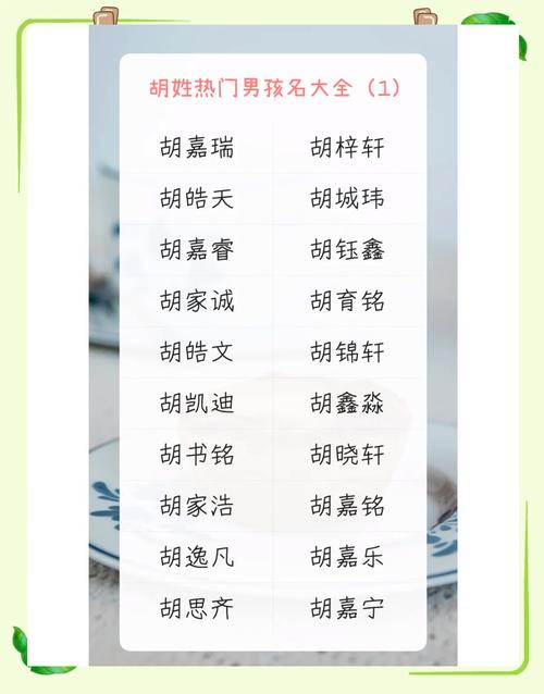 胡姓男宝宝名字中蕴含美好寓意的，有没有什么特别的推荐呢？