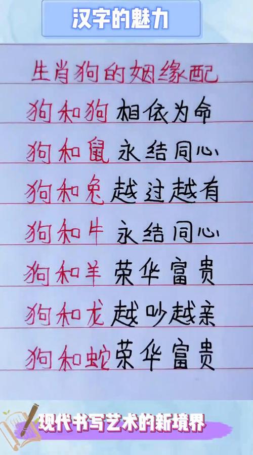 1982年属狗的人和属狗的伴侣配对婚姻是否合适？