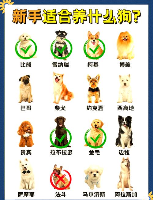 属相狗的人买房时，哪几层楼更符合我的命格呢？