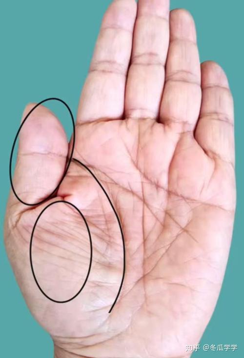 双手同时出现双生命线，这叫双重命格，是不是好现象呢？