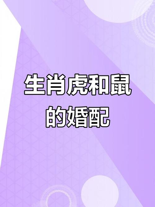 属虎女与属鼠男结合，他们的婚姻生活是否和谐美满？