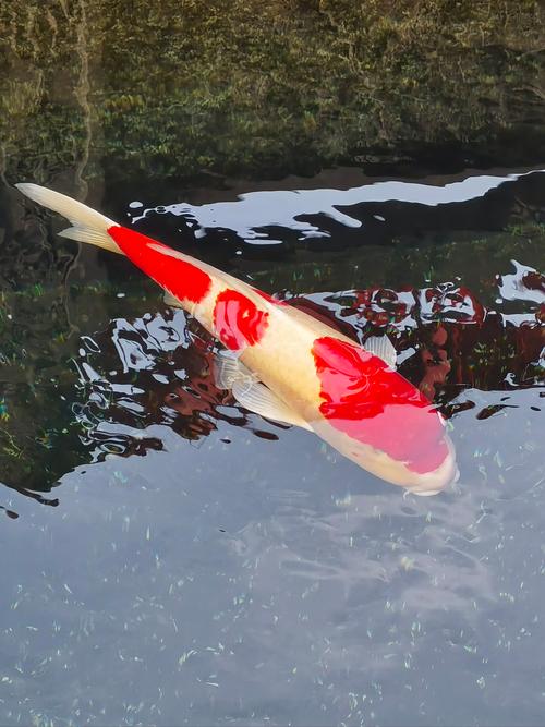 神像摆放位置对风水有影响吗？