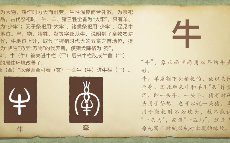 牛字五行属什么？如何牛字男孩蕞佳组合名字为长尾？