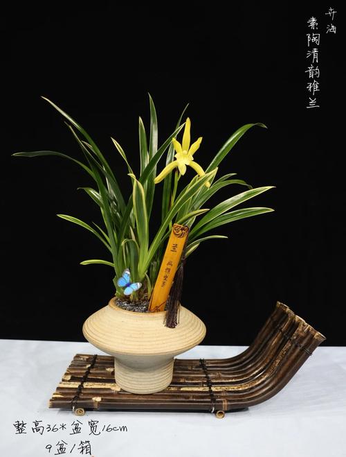 本命年男生适合佩戴什么饰品来应运兰花命？