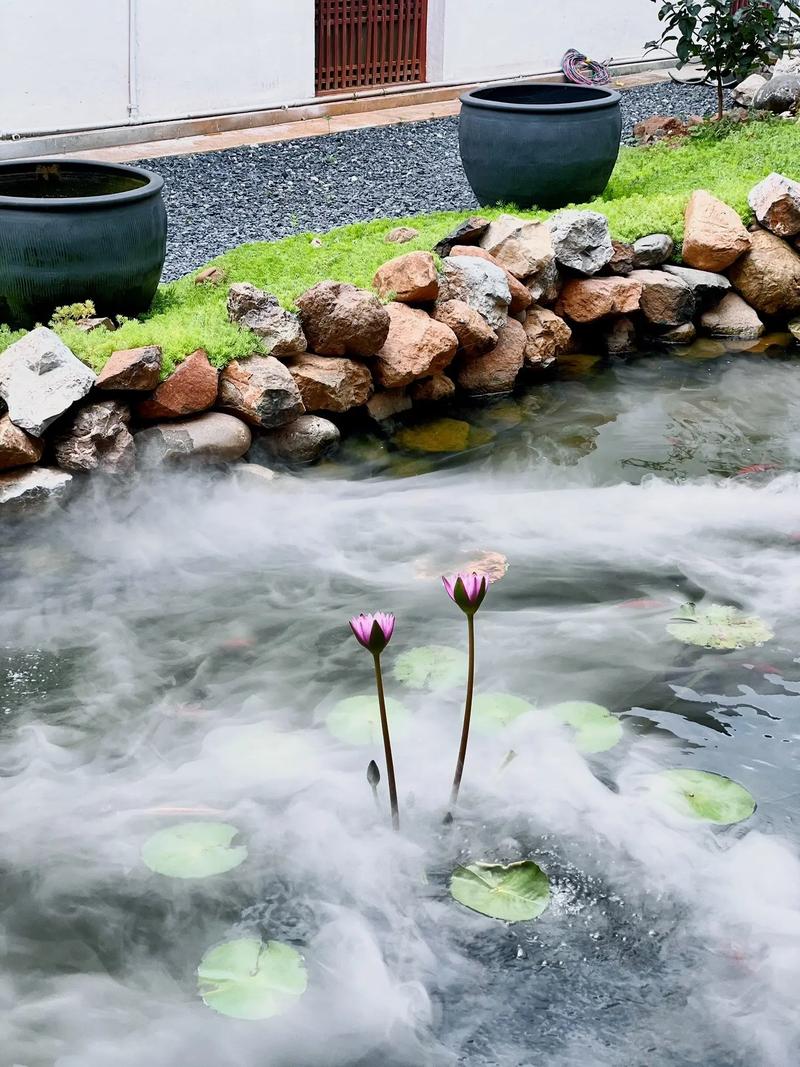 鱼池嫩种树吗？这样的风水布局是否吉利？