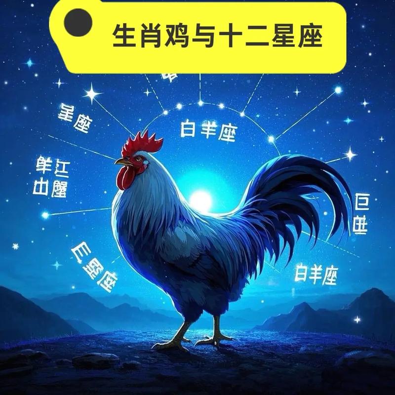 属鸡的人的命格是否不好，他们的命运是否真的不佳？