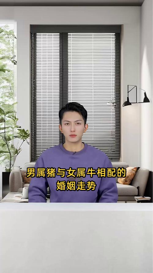 女属牛男属猪的组合，他们的婚姻关系是否能够相互旺夫旺妻呢？