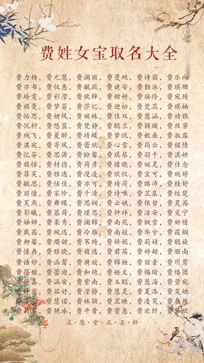 姓费的男孩取有涵养的名字叫什么好？