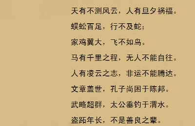 八字比枭食是什么意思