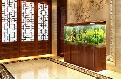 家里放鱼缸有什么讲究,和风水