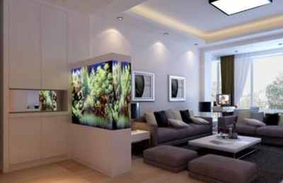 家里放鱼缸有什么讲究,和风水有关系吗