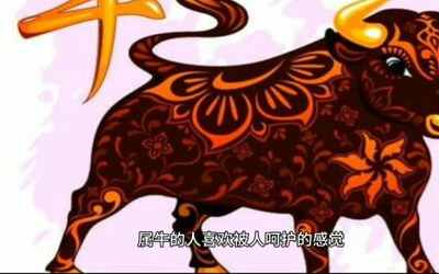 属牛农历二月生八字)