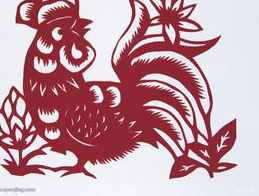 1981年属鸡的贵人是谁