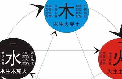 五行生肖查询十二生肖五行属性