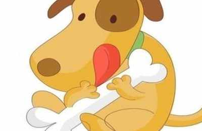 属狗的八字和属什么的合适