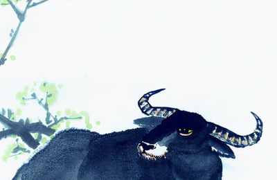 属牛男属猴女和八字