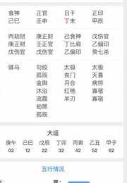 鸡年五行八字怎么解(属鸡的生肖五行及出生年份大全)