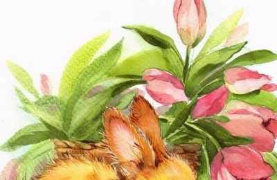 属猴与属兔相结合怎么样