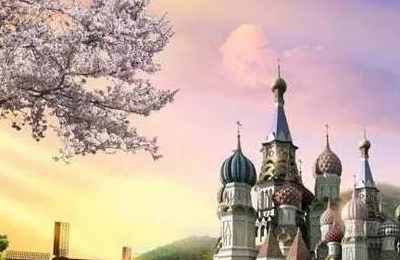 1575188865970630.jpg 4.jpg