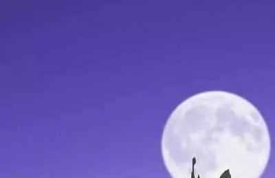 心理测试:你到底有多跟自己过不去? 心理测试:你到底有多跟自己过不去?