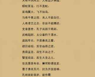 八字比枭食是什么意思(食比枭和枭比食一样吗)