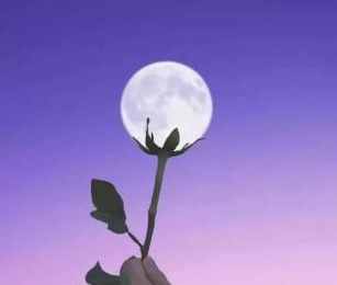 心理测试：你到底有多跟自己过不去？