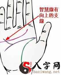 女人什么手相最招财，女人什么手相财运好？