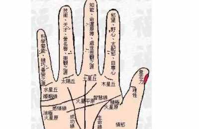 手相：最有钱人的手相有何特点