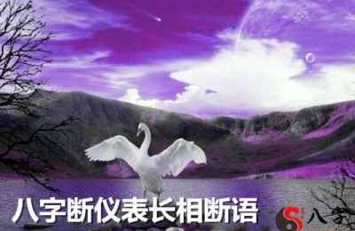 八字断仪表相貌断语