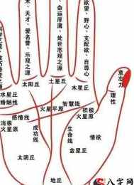 手相：看看聚财的手相、瞧瞧有福的耳朵带禄的嘴唇！