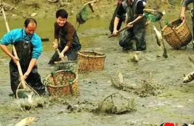 梦见抓了许多小虾