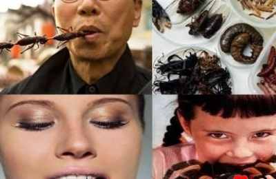 梦见吃虫子