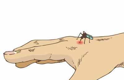 梦见手被蚊虫咬
