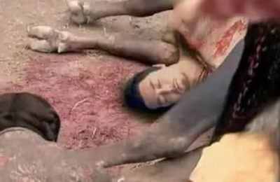 梦见被牛踢到肚子