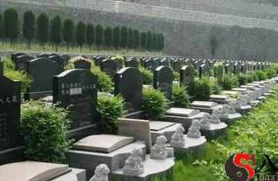 梦见许多坟墓