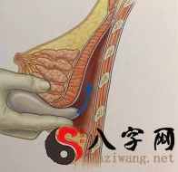 梦见隆胸流血