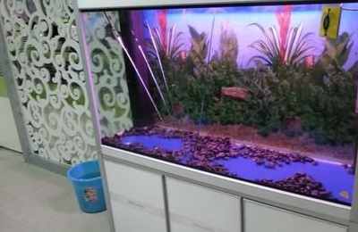梦见鱼缸漏水