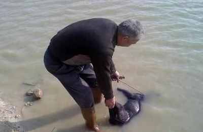 梦见老头掉水里淹死