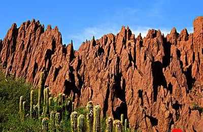 梦见准备去旅游