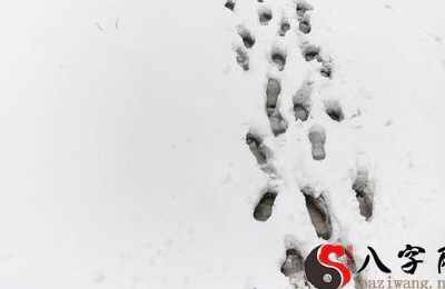 梦见雪上的脚印