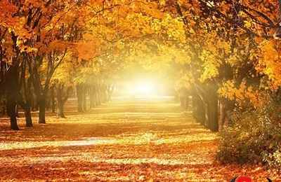 梦见漂亮的风景